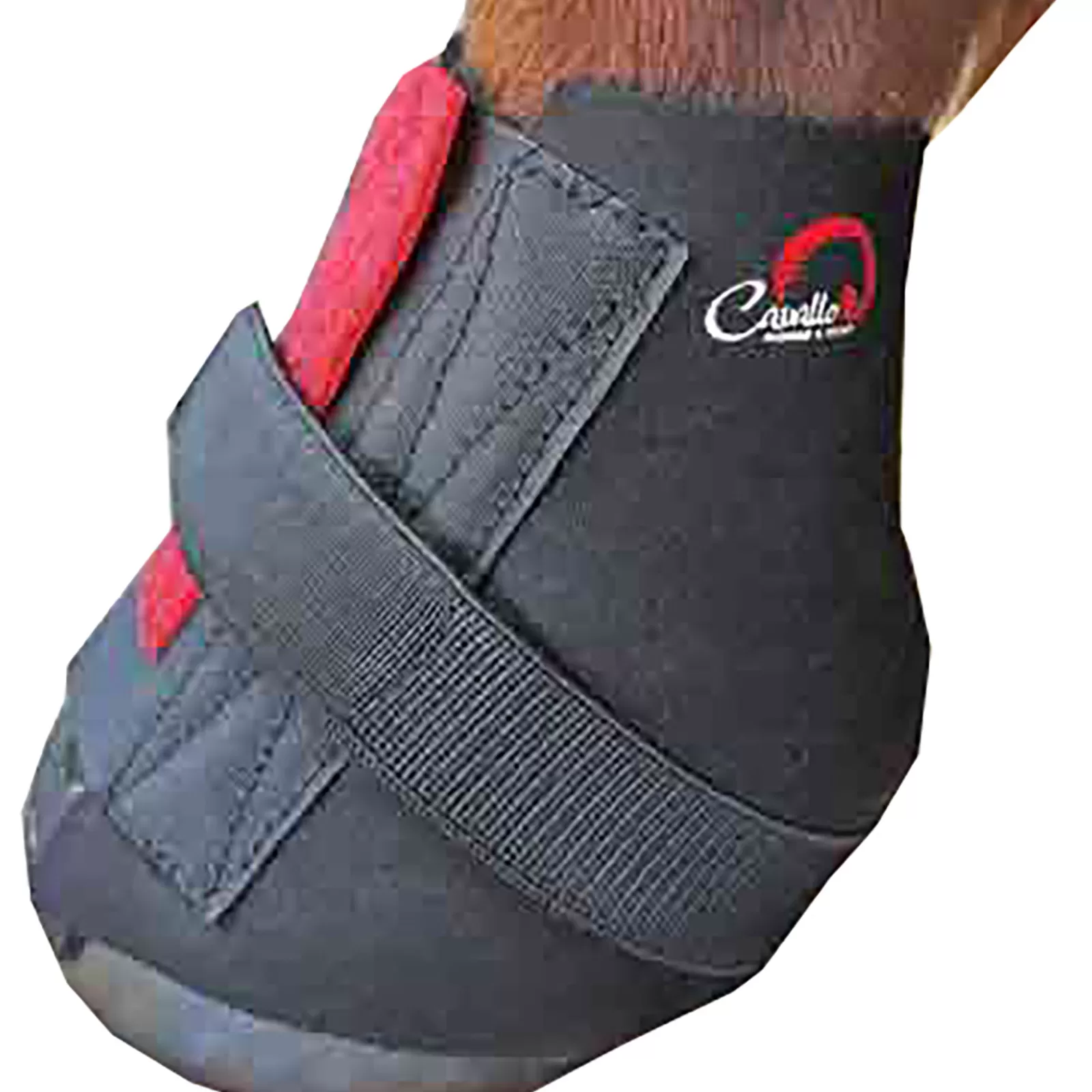 cavallohorseriderfr F.R.A. Cavallo Saarystimet, Bfb Black Hot