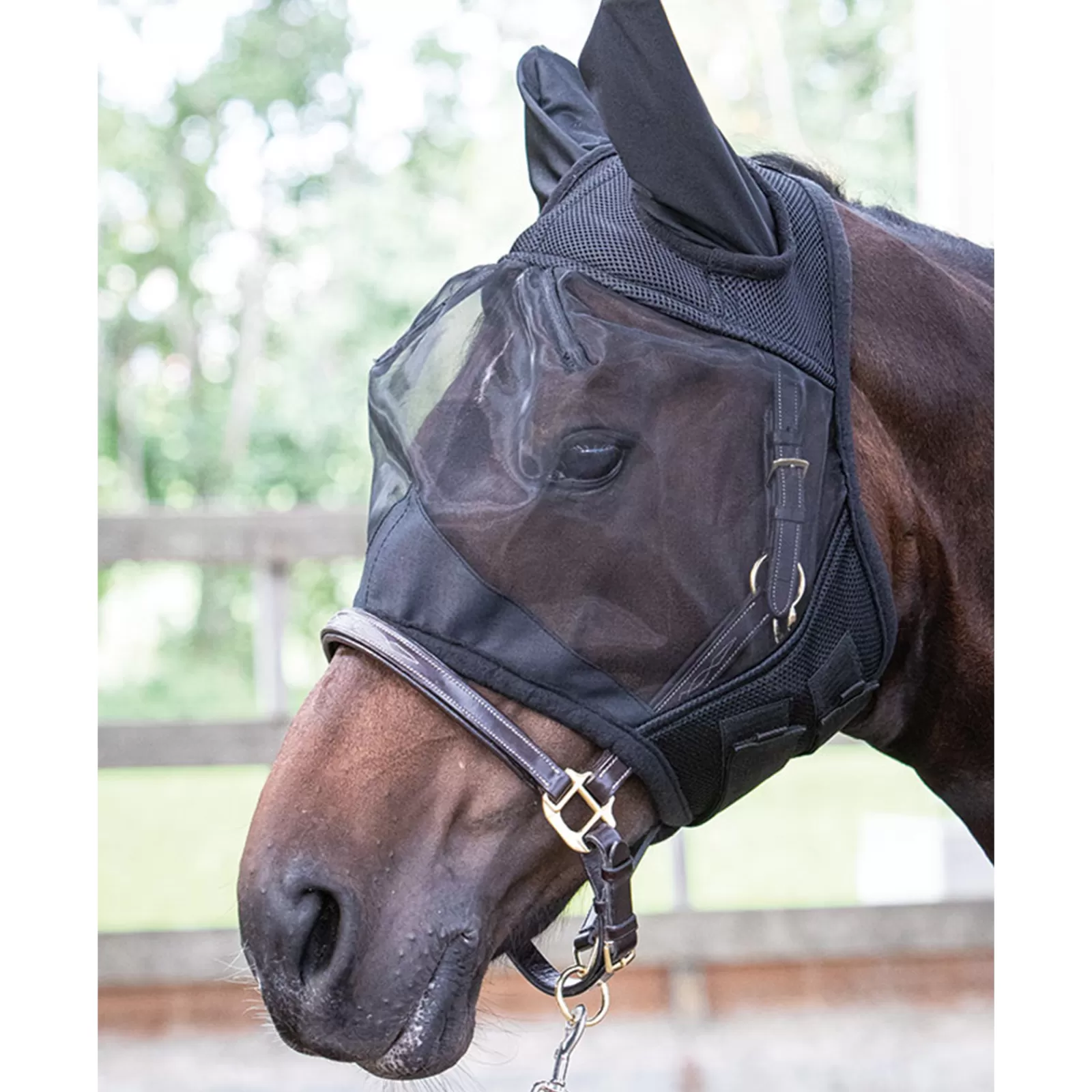 harryshorse Harry'S Horse Flyshield Karpasmaski Black Cheap