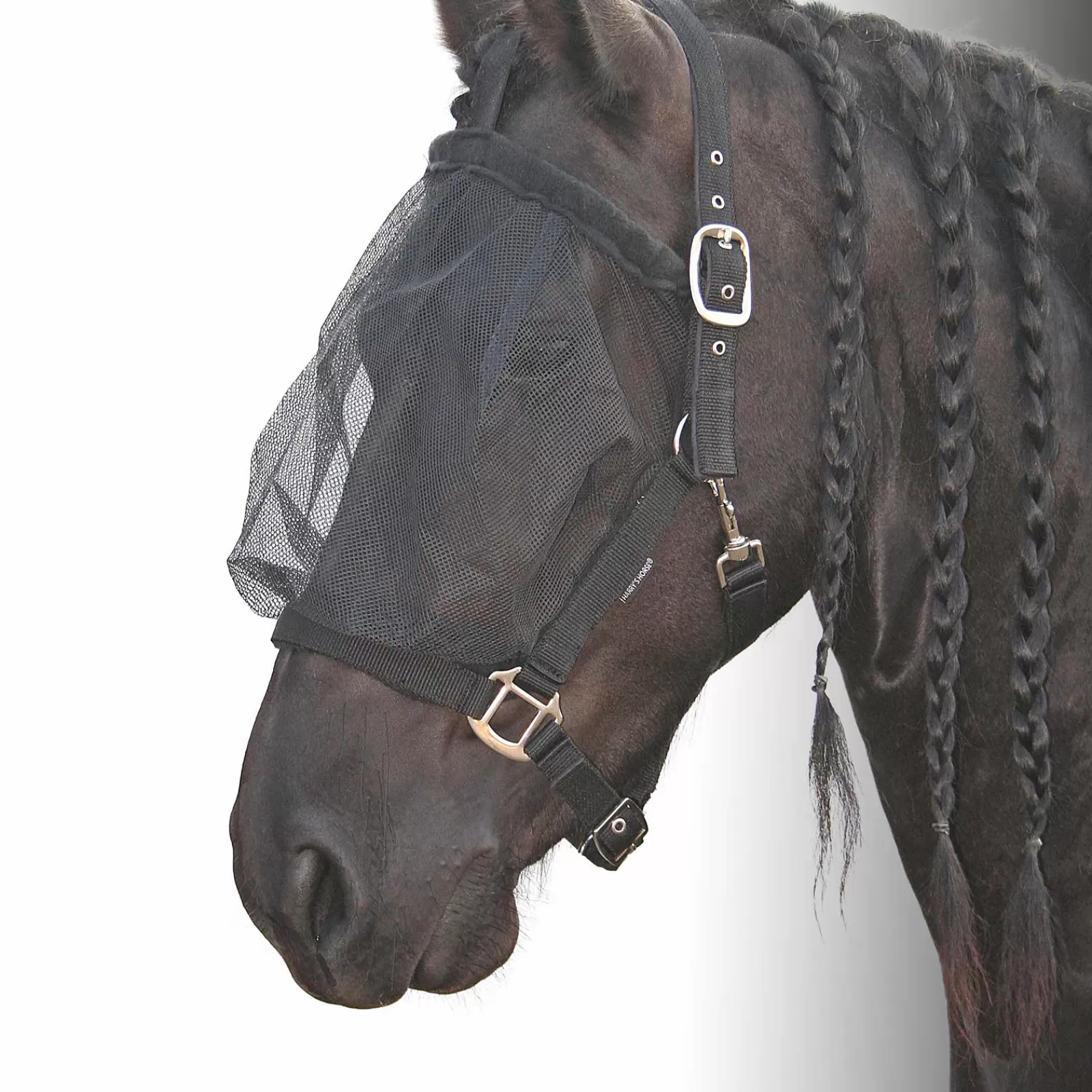 harryshorse Harry'S Horse Riimu Karpasmaskilla Black Hot