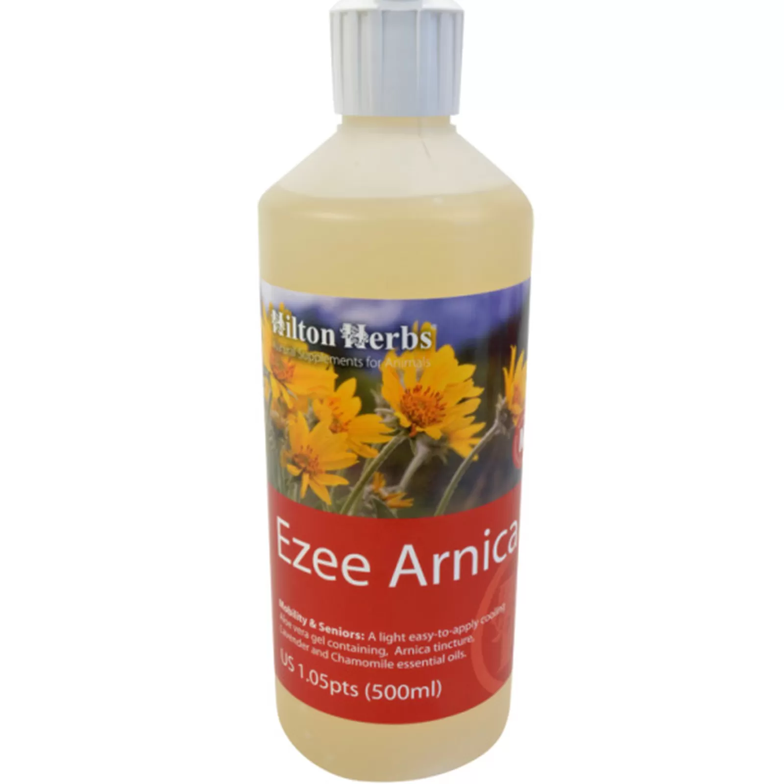 hiltonherbs Ezee Arnica, 250Ml Ei Maaritelty Fashion