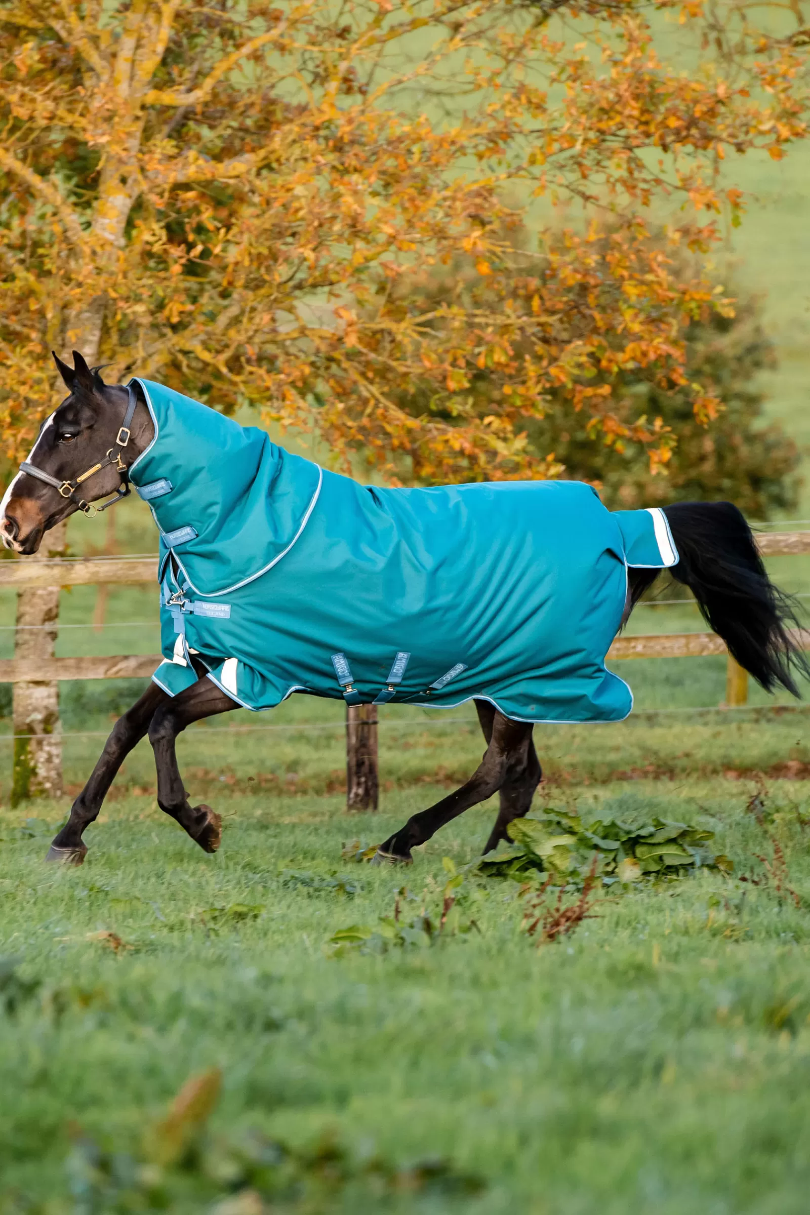 horseware Amigo Bravo 12 Plus Ulkoloimi, 400 G Storm Green New