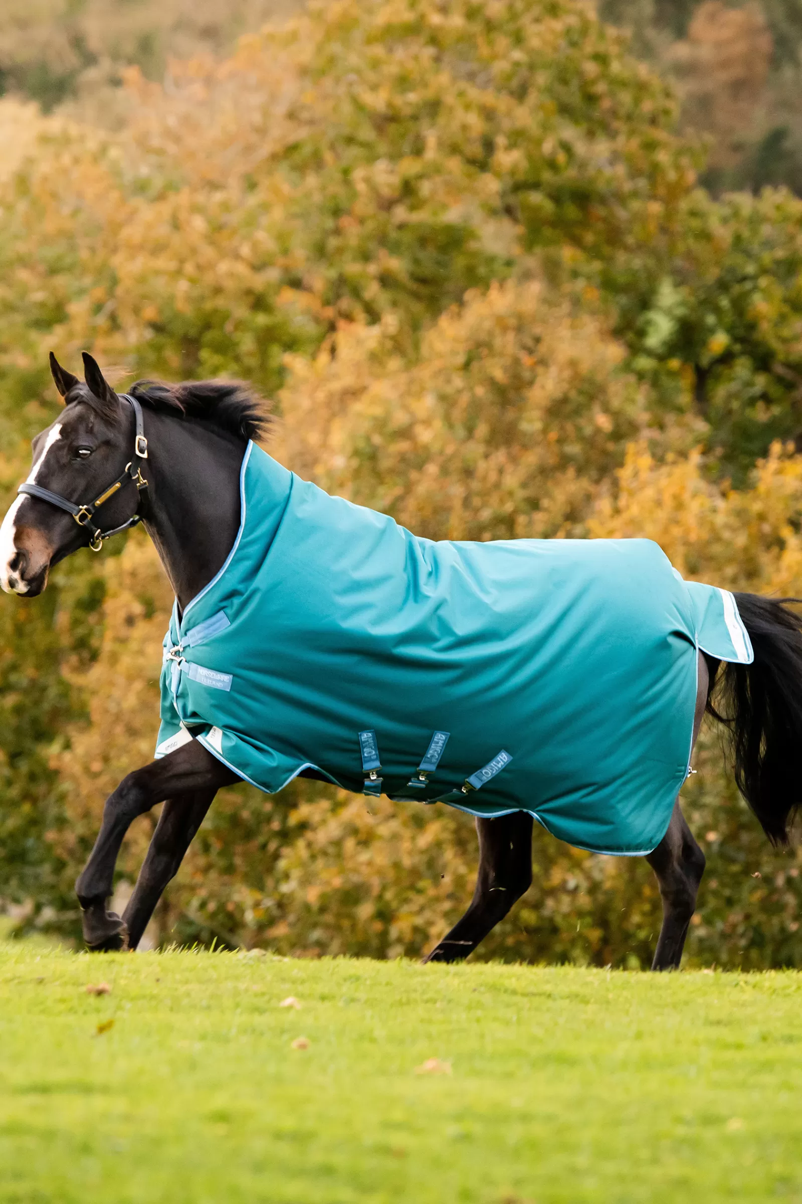 horseware Amigo Bravo 12 Wug Lite -Ulkoloimi Storm Green Flash Sale