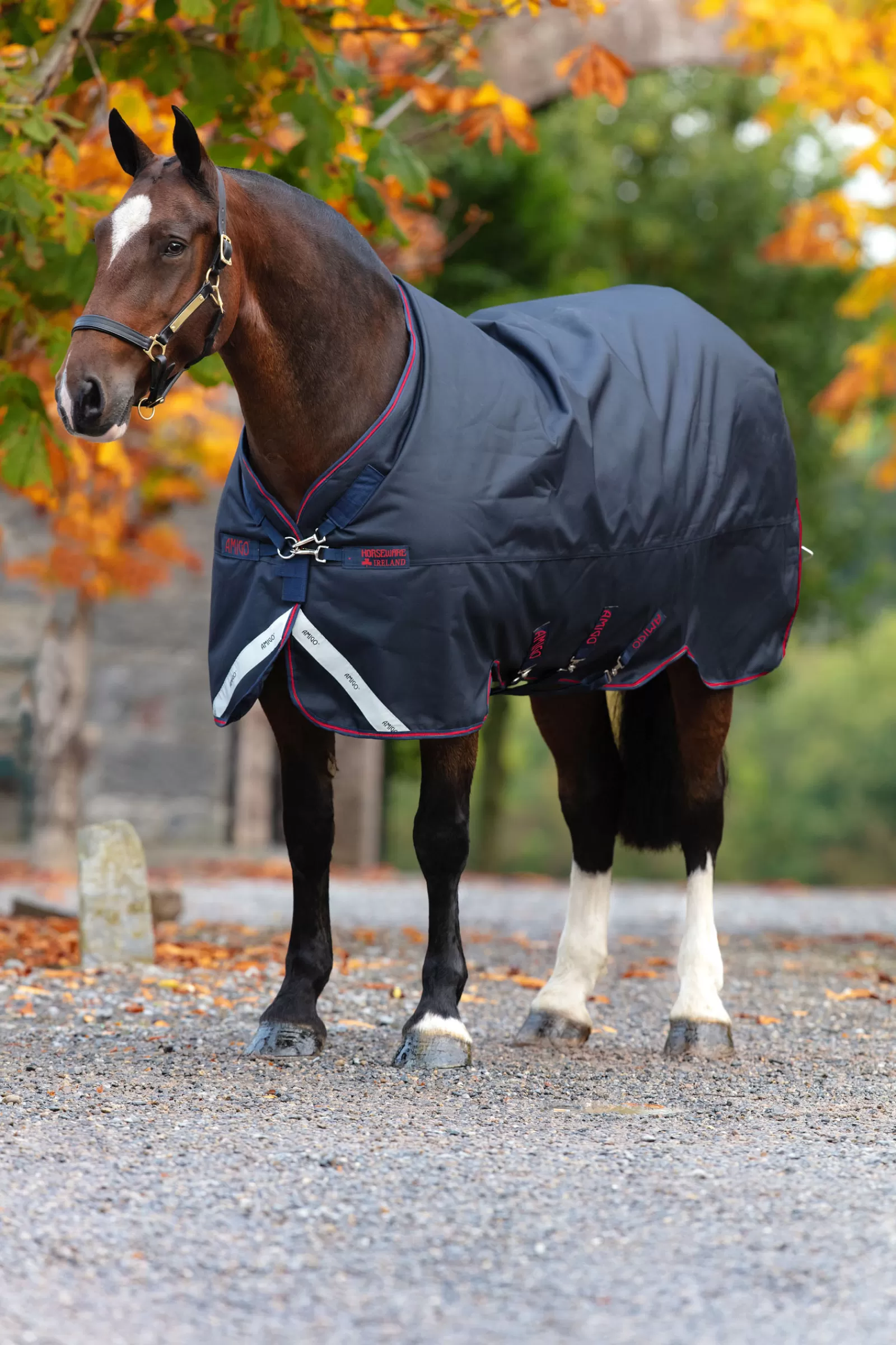 horseware Amigo Bravo 12 Xl Ulkoloimi, 0 G Dark Blue/Dark Blue/Red Shop