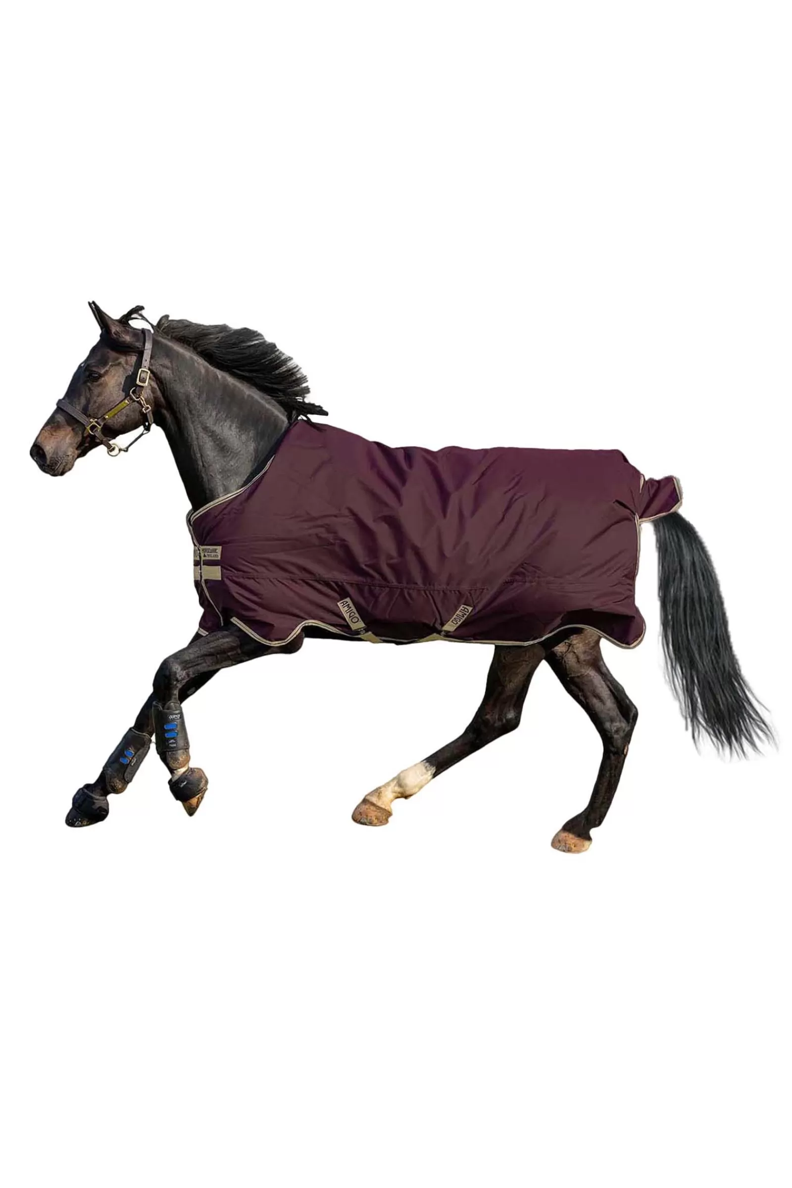 horseware Amigo Hero Ripstop 100 G Fig/Navy/Tan Outlet