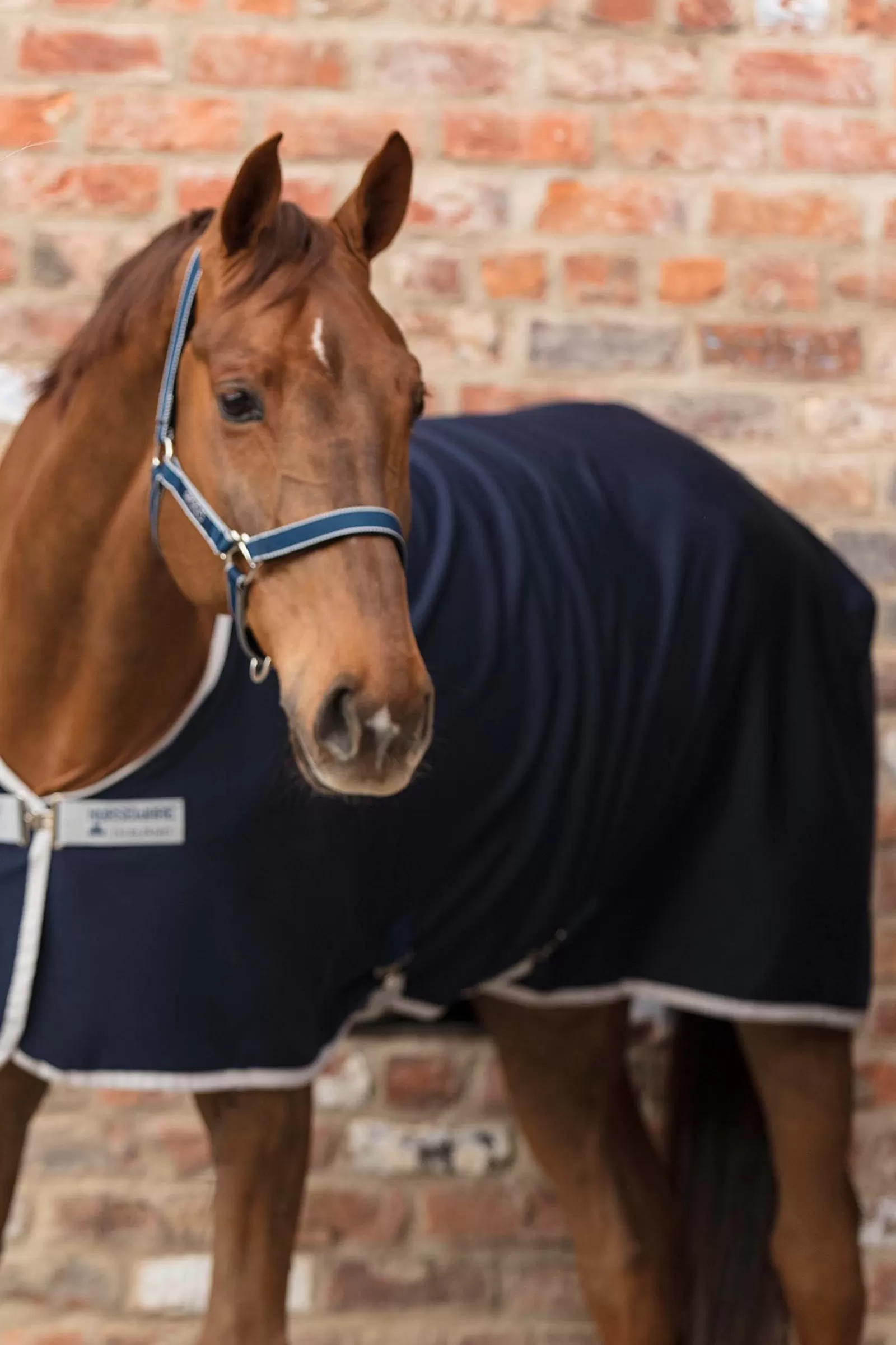 horseware Amigo Riimu Dark Blue/Silver Cheap