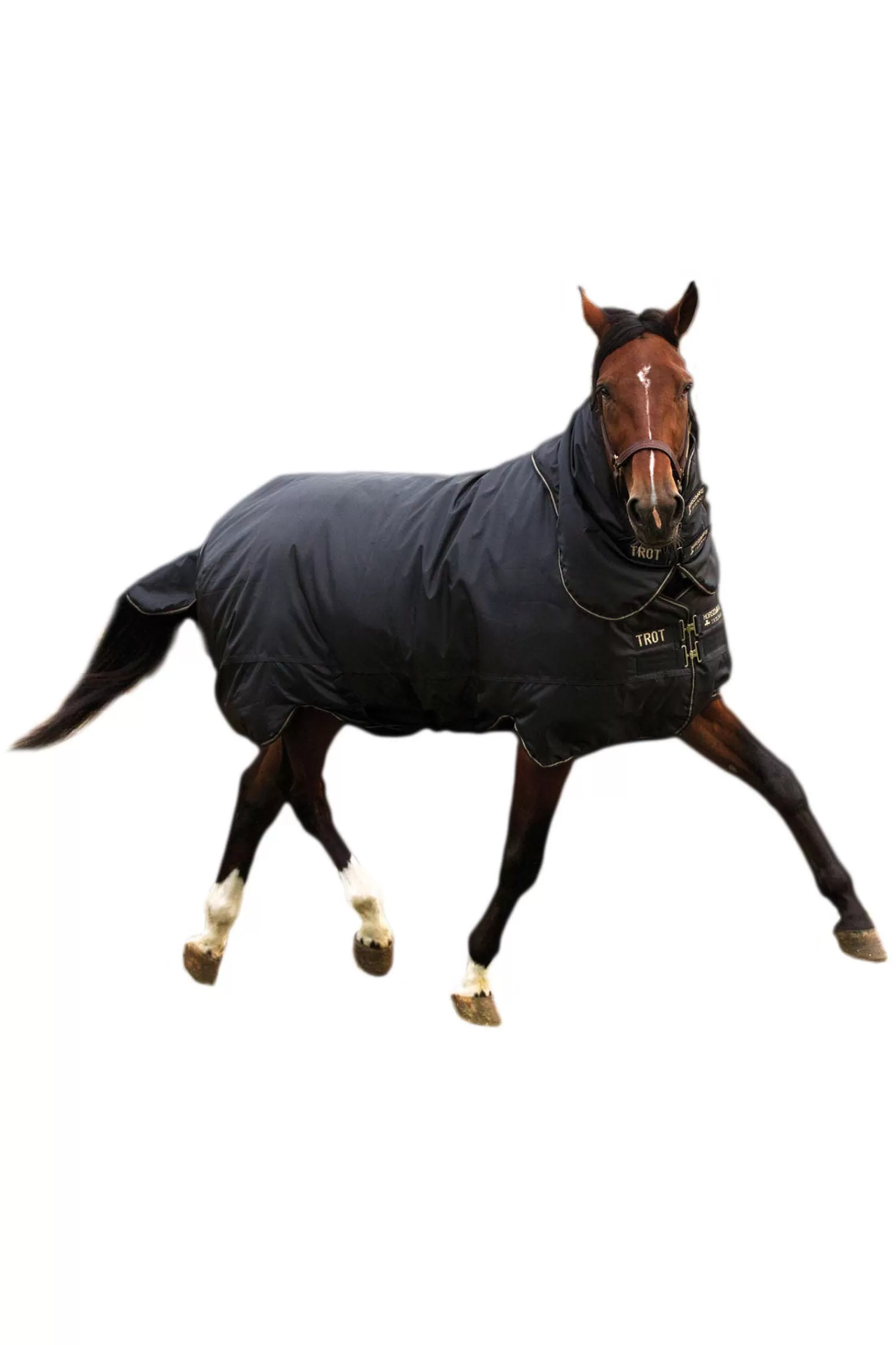 horseware Hw Trot Plus Heavy Ulkoloimi, 350G. Black/Black/Tan Brown Hot