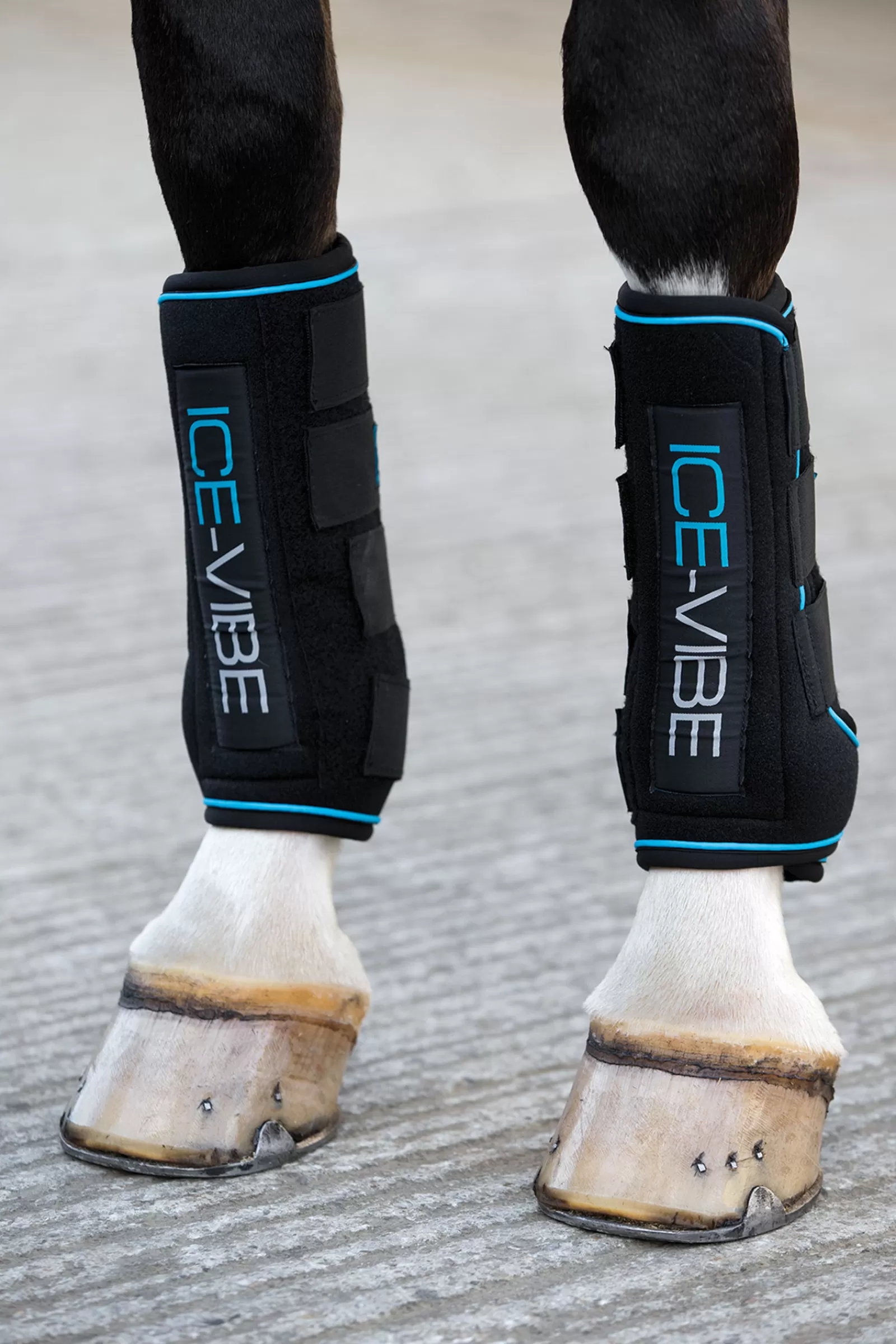 New horseware Ice-Vibe Kylmayssuojat Black/Aqua Blue