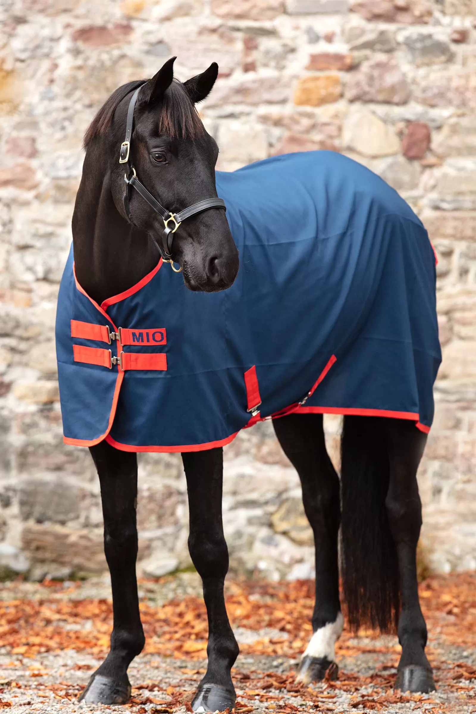 horseware Mio Talliloimi Dark Blue/Red Hot