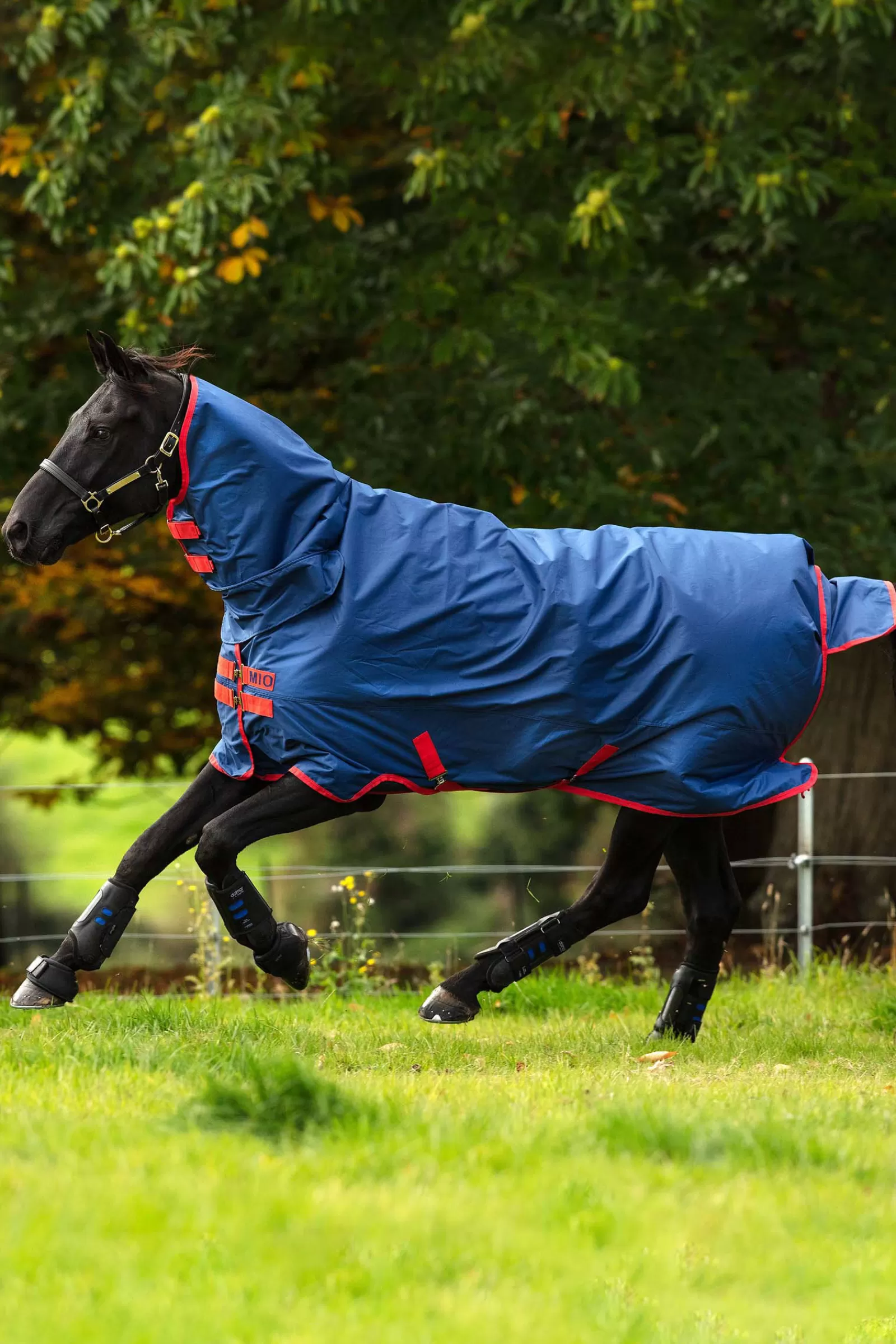 horseware Mio Ulkoloimi Kiintealla Kaulakappaleella Ja 350 G Dark Blue/Dark Blue/Red Sale