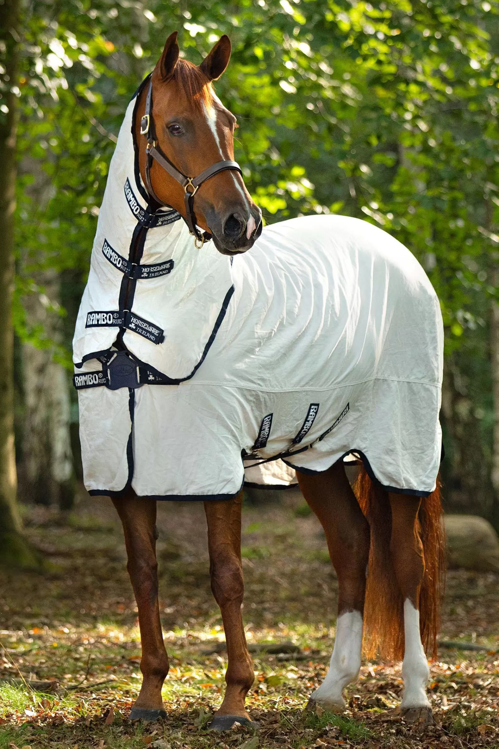 horseware Rambo Natura Karpasloimi White/Dark Blue Outlet