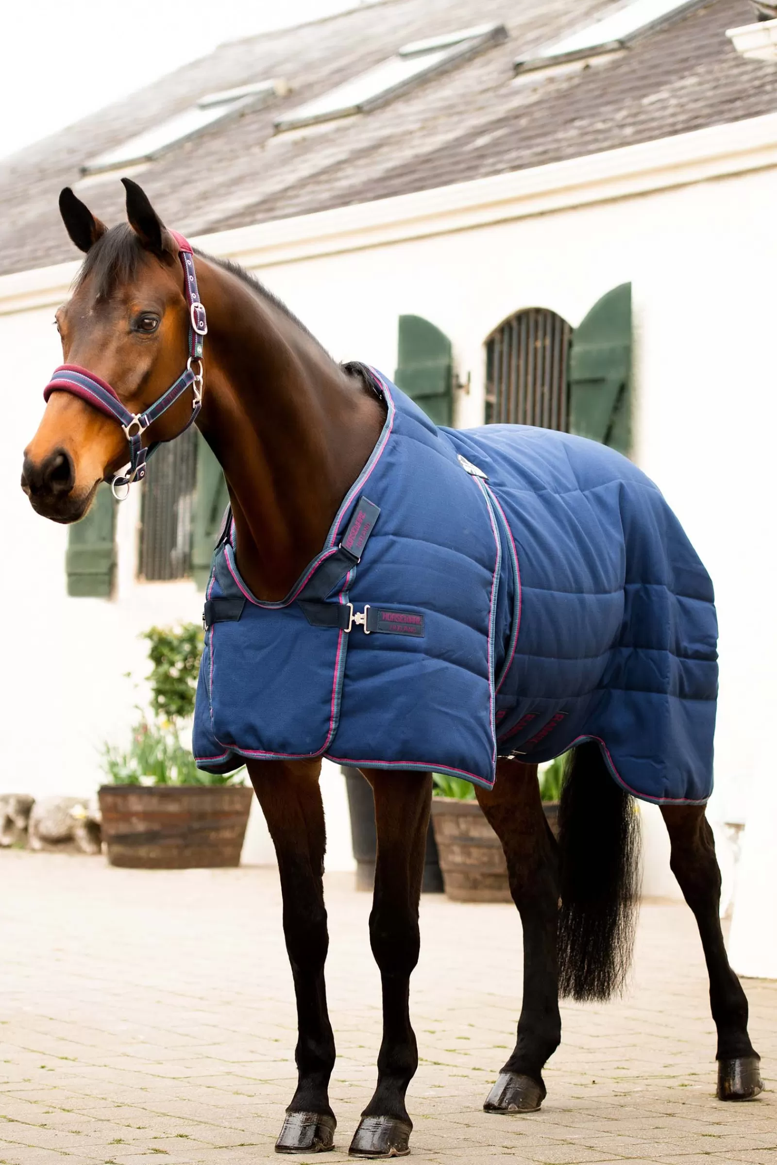 horseware Rambo Optimo Talliloimi 200 G Navy/Burgundy/Teal/Navy Discount