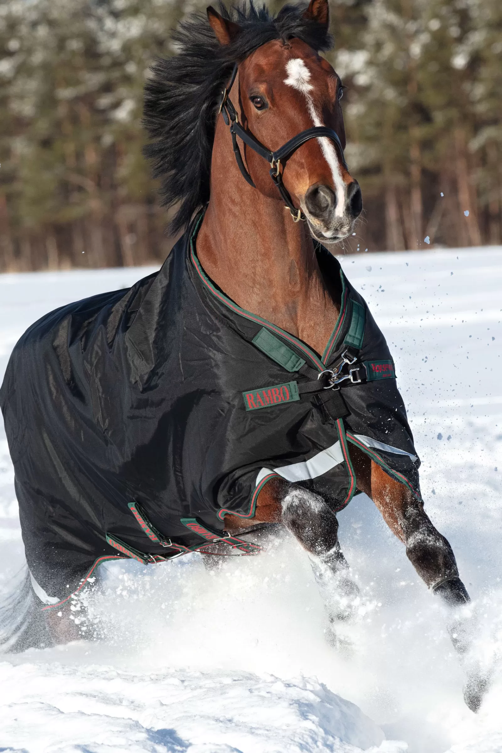 horseware Rambo Original Ulkoloimi Jalkatiloilla, 200 G Black/Green/Red Flash Sale