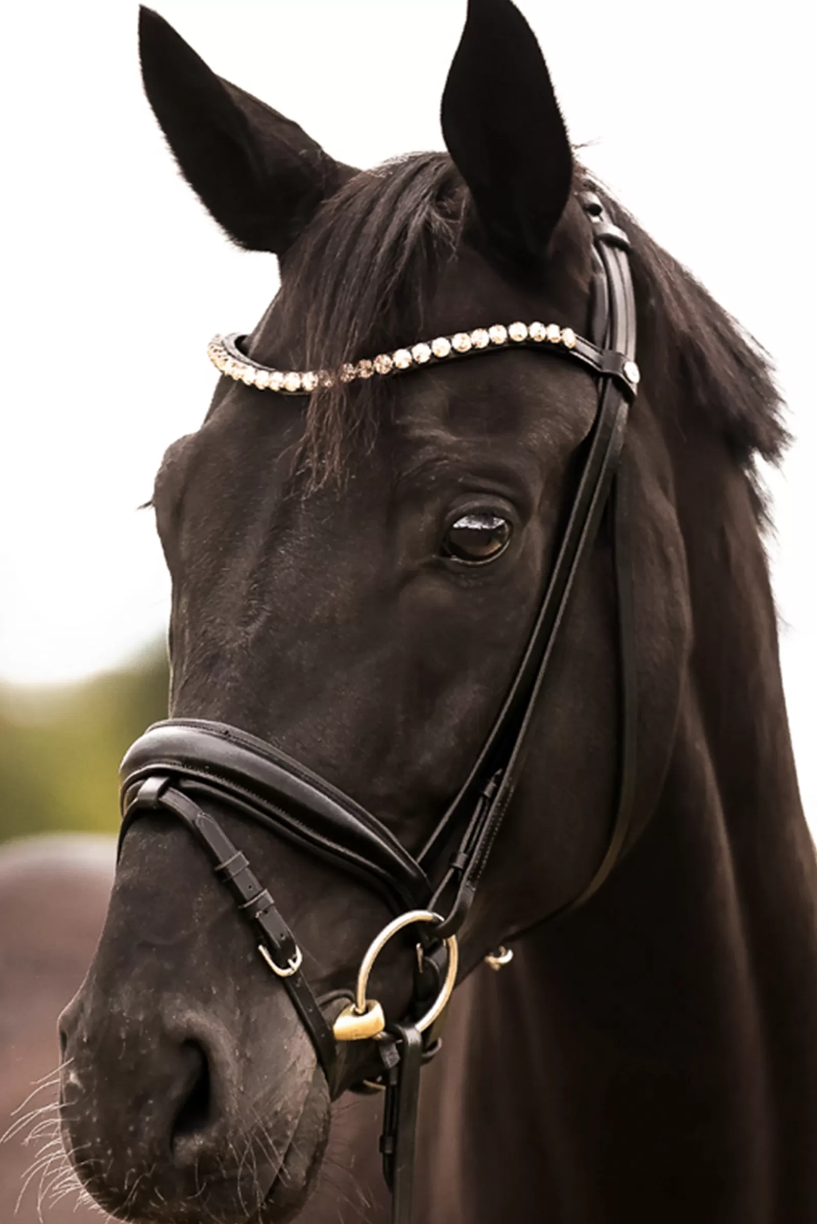 kavalkade Fortuna Kavalsh4 Bridle Black Sale