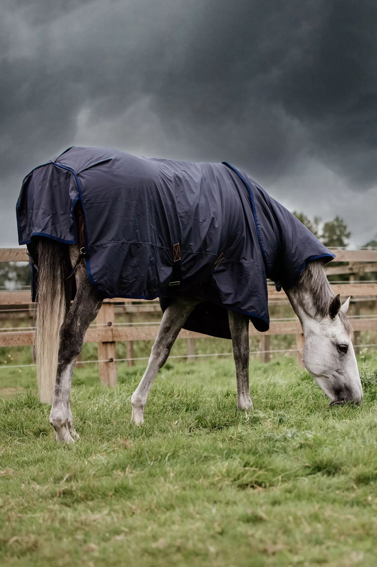 kentucky Horsewear All Weather Hurricane Ulkoloimi, 50 G Db/Ab Discount