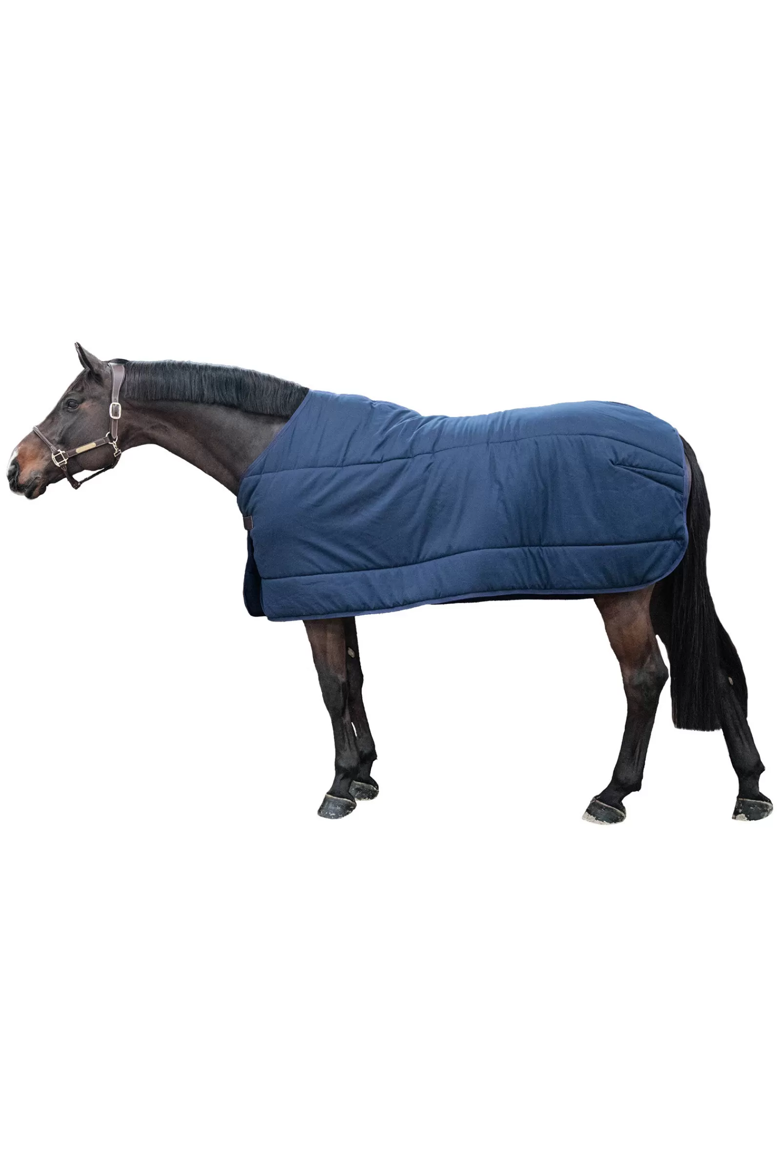 kentucky Horsewear Classic Alusloimi, 200 G Db/Ab Cheap