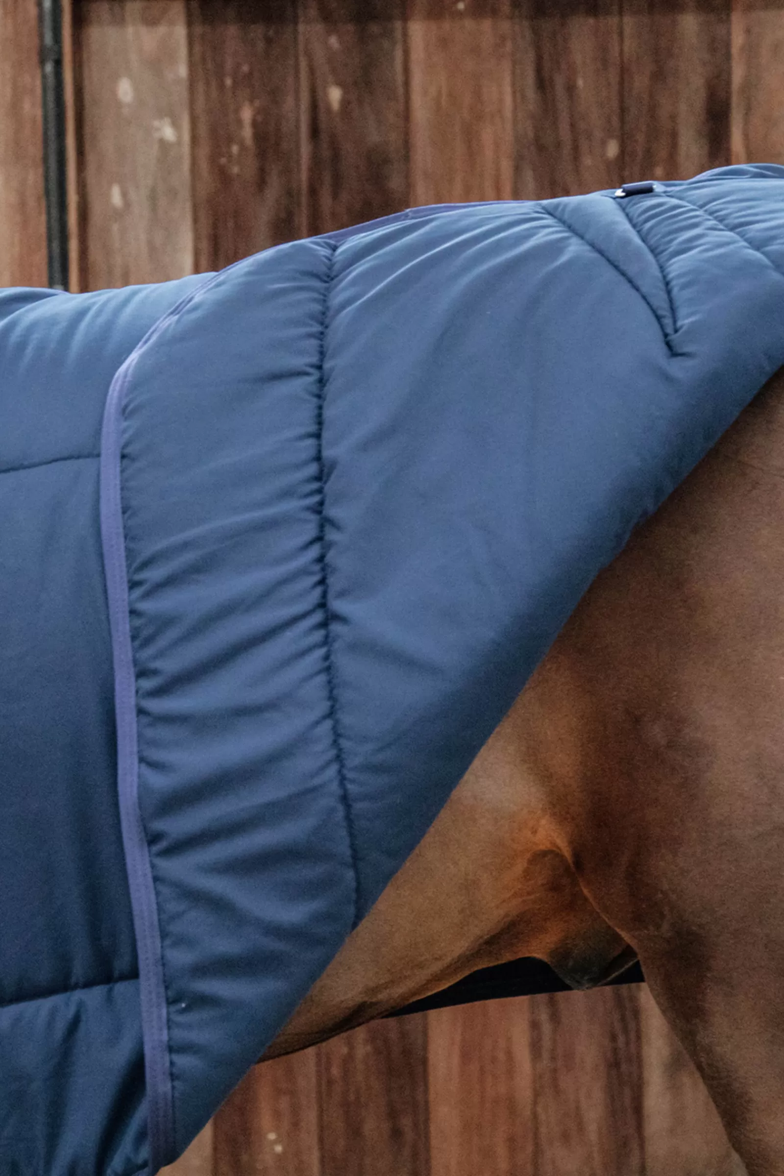 kentucky Horsewear Classic Talliloimi, 300 G Db/Ab Discount