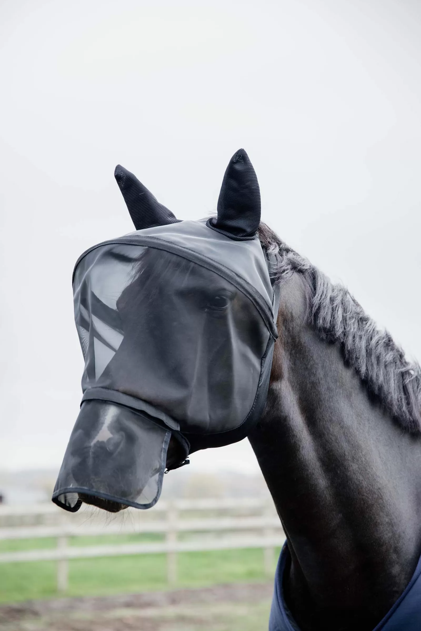 kentucky Horsewear Pro Karpasmaski Black Best Sale