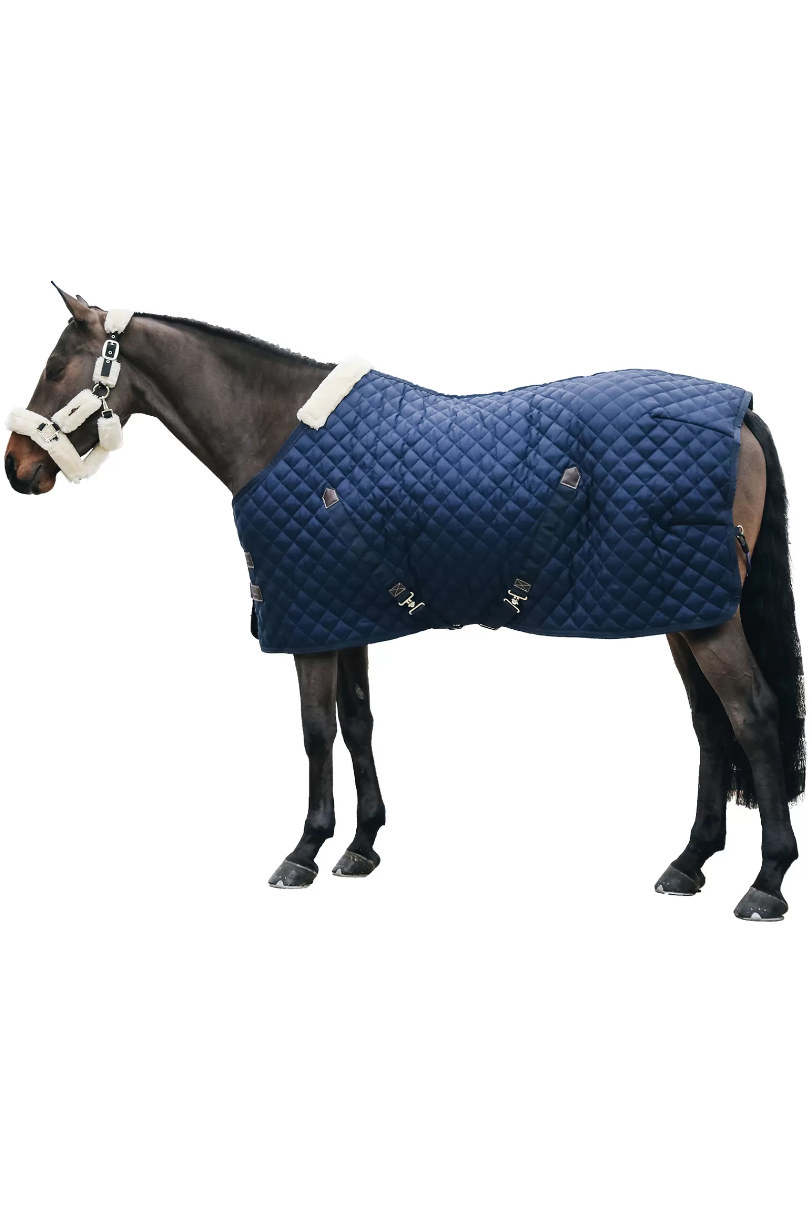 kentucky Horsewear Talliloimi 400 G Db/Ab Cheap