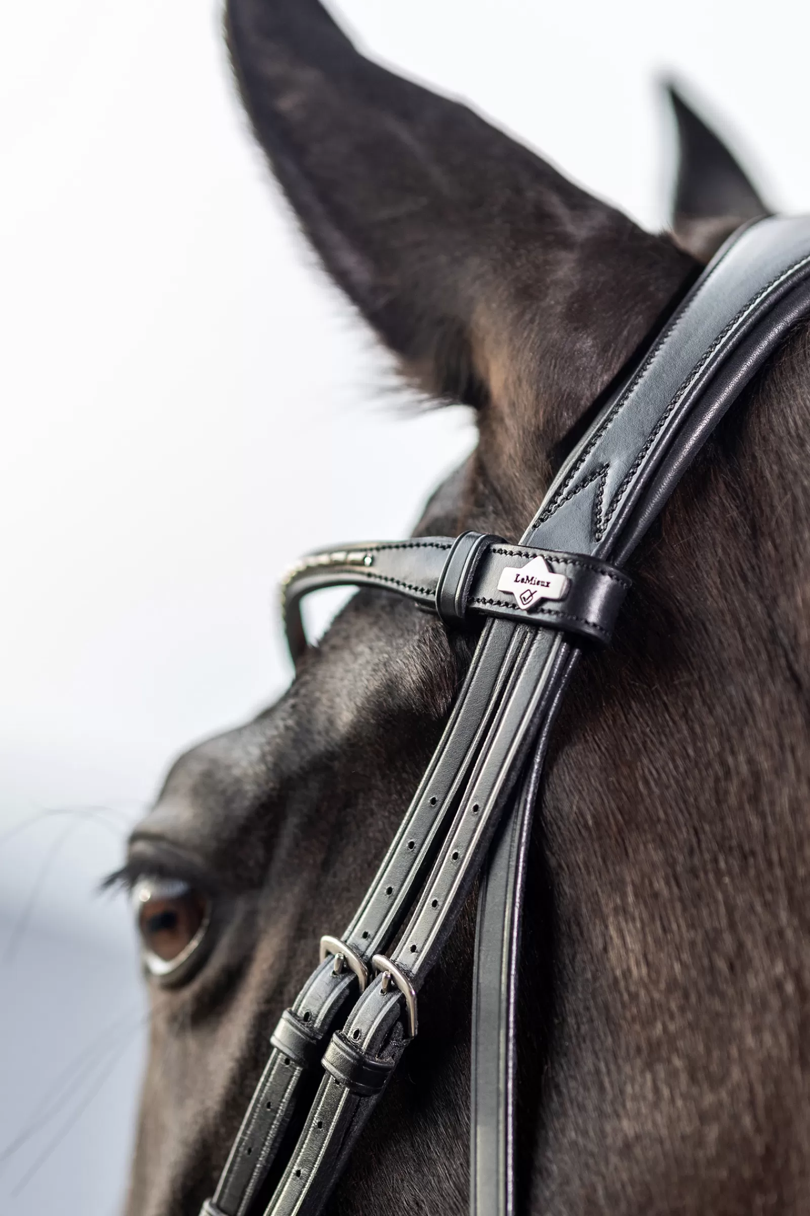 lemieux Classic Dressage Bridle Black Cheap