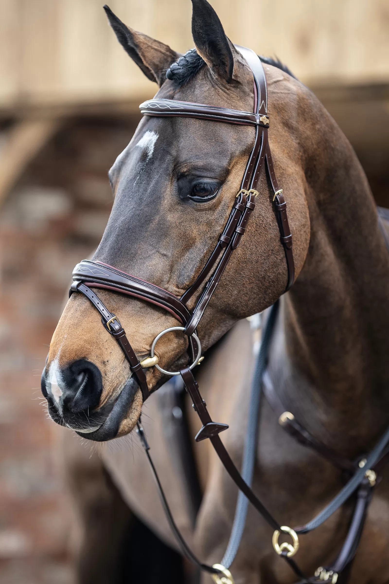 lemieux Competiton Flash Bridle Havana Brown Best Sale