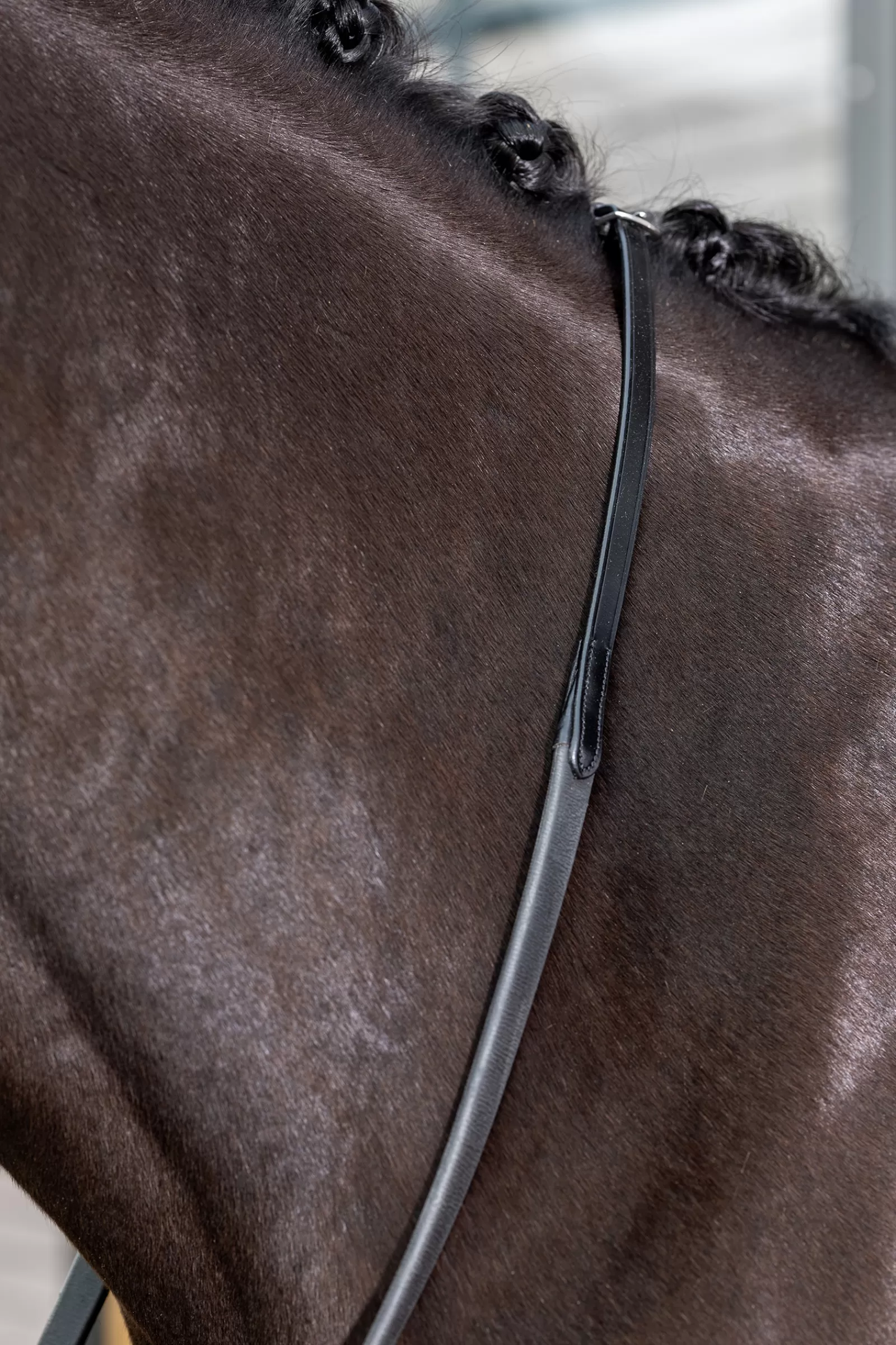 lemieux Kris Extreme Rubber Reins Black/Black Online