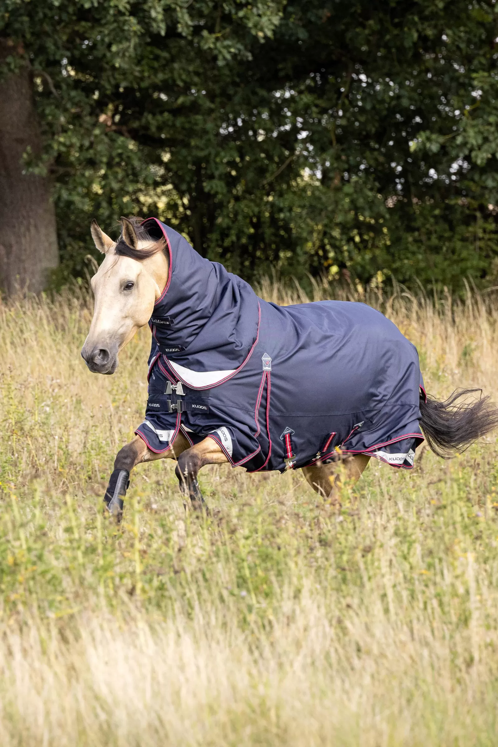 lemieux Kudos Lightweight Turnout Rug, 50G Navy Fashion