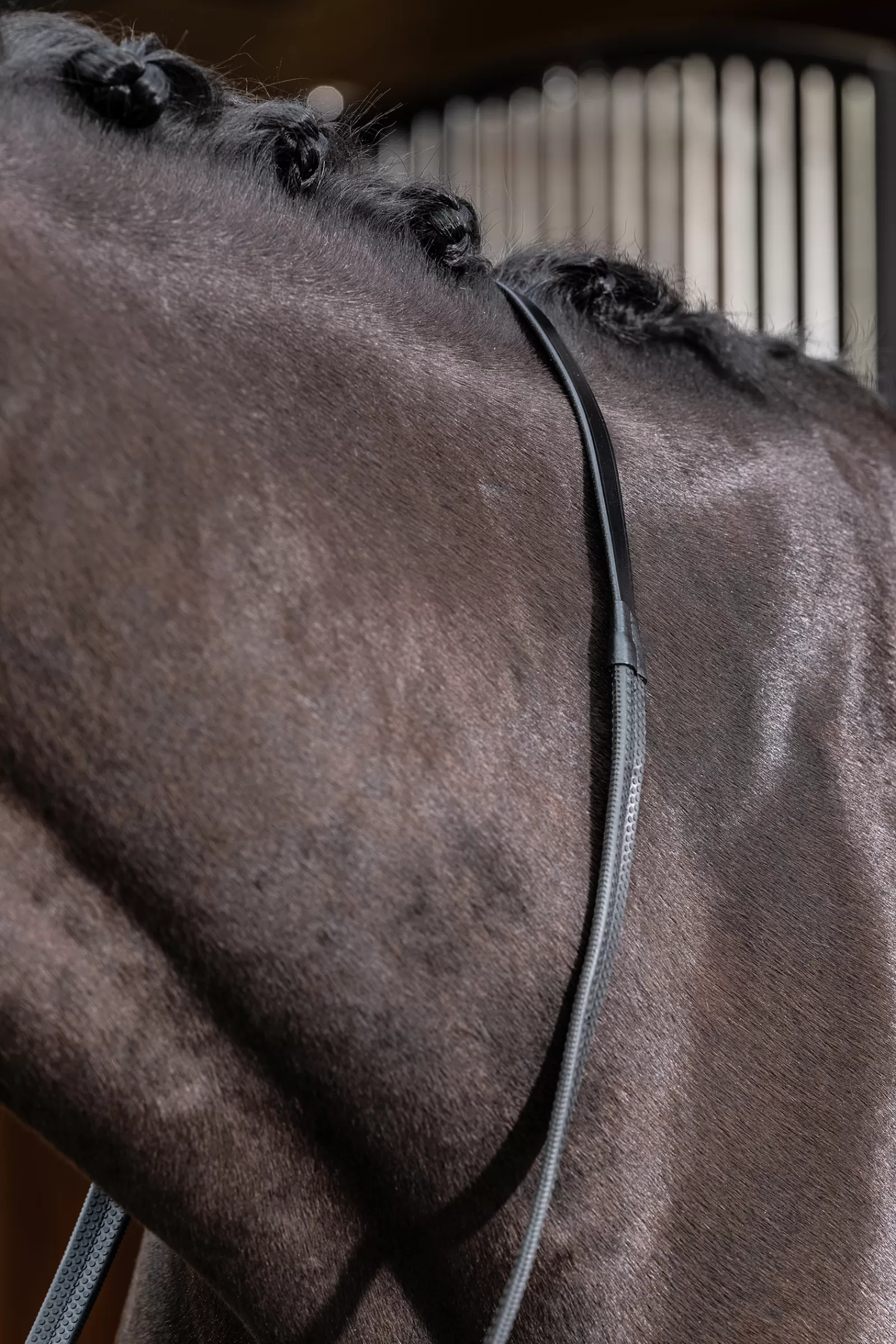 lemieux Rubber Reins Black/Black Flash Sale