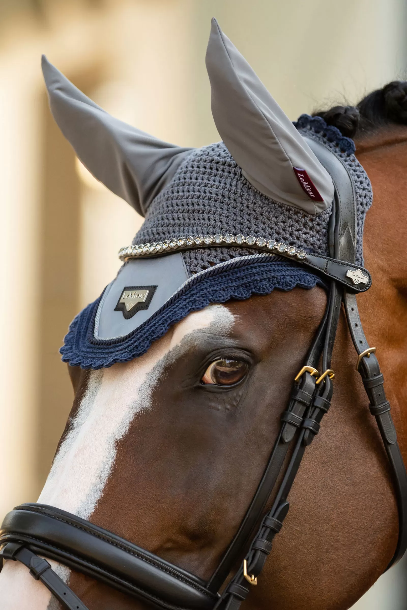 lemieux Twilight Browband Black Shop