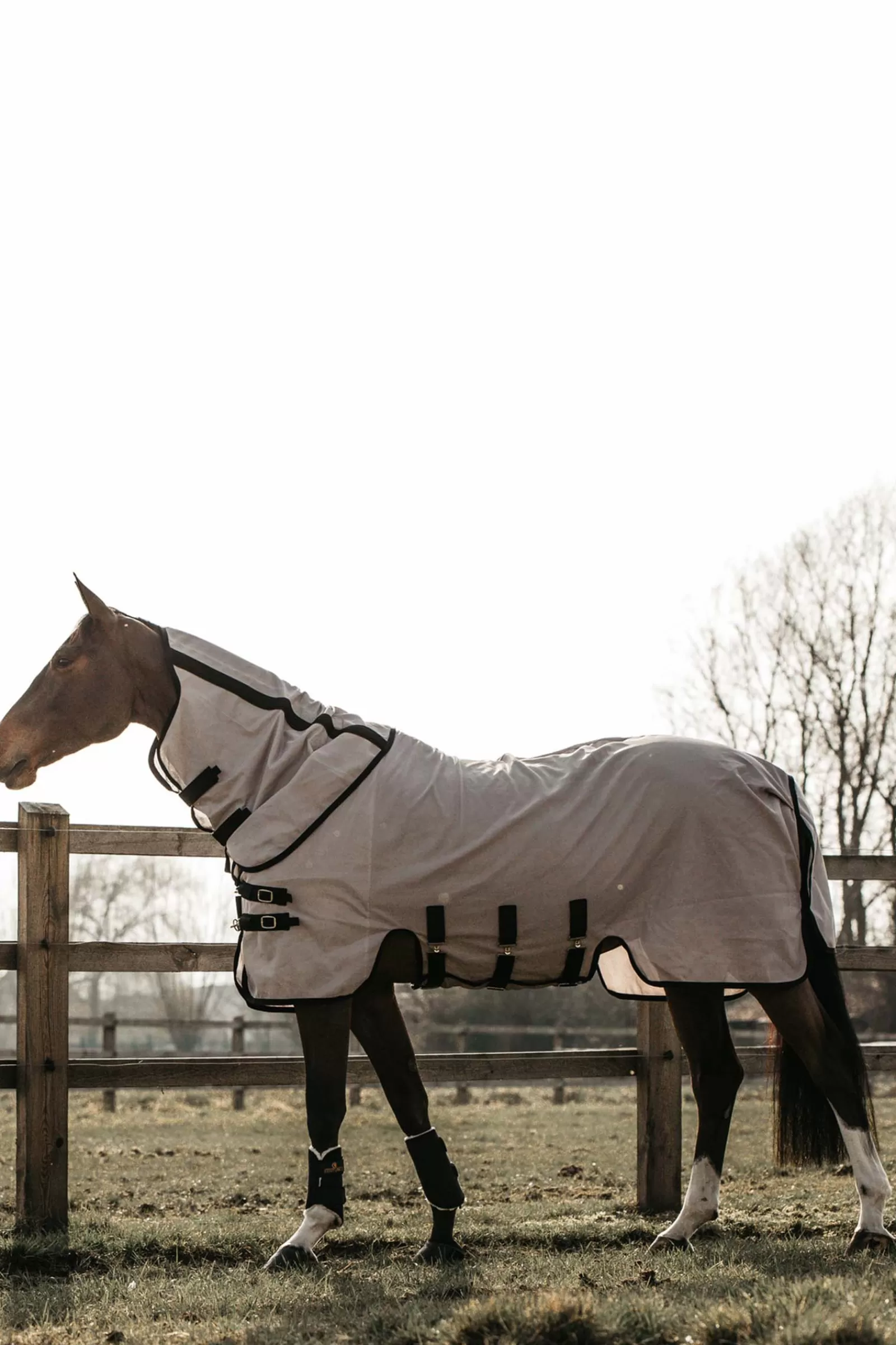 kentucky Mesh Fly Rug Beige Online